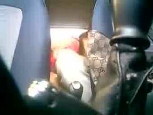 Coppia di amanti filmati di nascosto mentre si fanno una chiavata